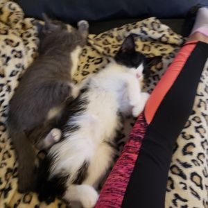 Meet your Posher, Carlie